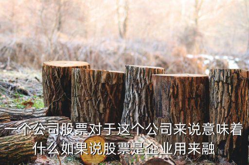 企業(yè)融資意味什么，融資是什么別粘貼通俗點最好來點例子