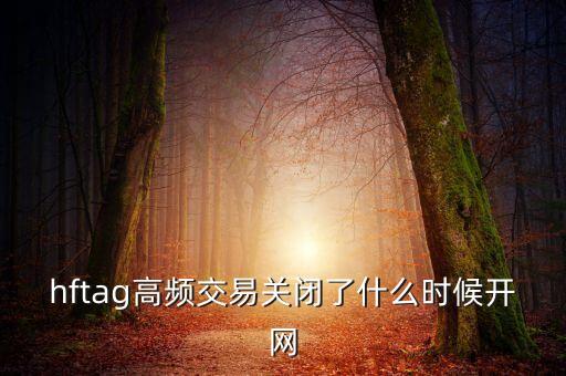 hftag高頻交易關(guān)閉了什么時(shí)候開(kāi)網(wǎng)