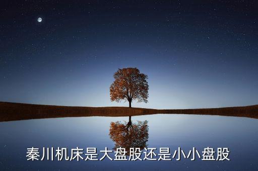 秦川機(jī)床是什么板塊的，600248是屬于什么板塊的股有潛力沒的能看高到多少價(jià)位