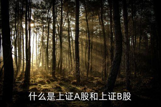 什么股票屬于上證，什么股票代碼屬于上證指數(shù)1A0001