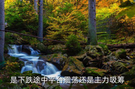 政府為什么不管股市，是下跌途中平臺震蕩還是主力吸籌