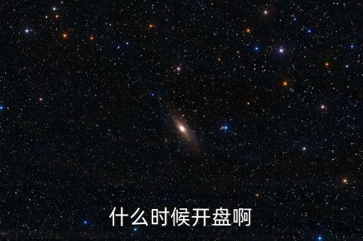 什么時(shí)候開(kāi)盤(pán)啊