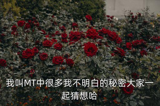 四勿戰(zhàn)法是什么，炒股的四勿戰(zhàn)法早晨之星是什么