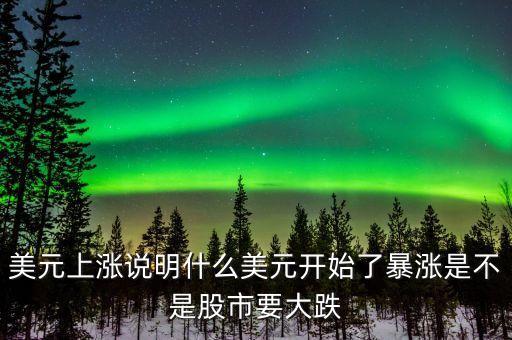 美元上漲說(shuō)明什么美元開始了暴漲是不是股市要大跌