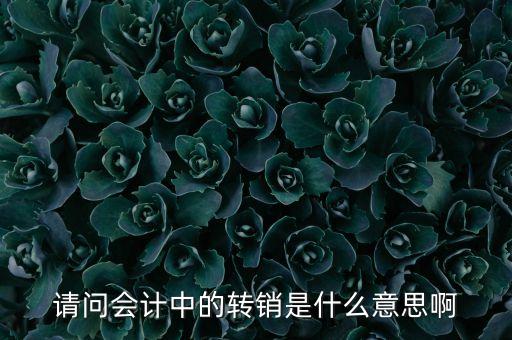 請問會計中的轉(zhuǎn)銷是什么意思啊