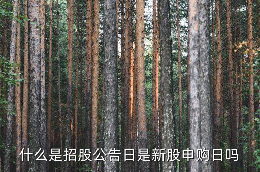什么是招股日期，為什么有的股票招股日期和上市日期相差幾年呢