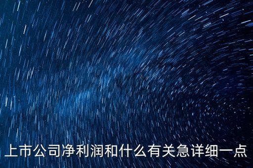 上市公司為什么要這么多凈利潤，上市公司凈利潤和什么有關(guān)急詳細(xì)一點(diǎn)
