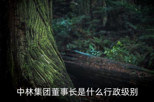 袁順周什么級別，中林集團董事長是什么行政級別