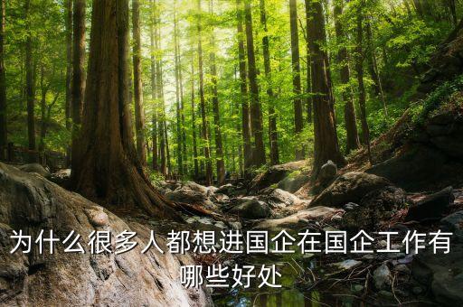 進國企有什么優(yōu)勢，為什么很多人都想進國企在國企工作有哪些好處