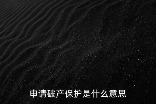 申請破產保護是什么意思
