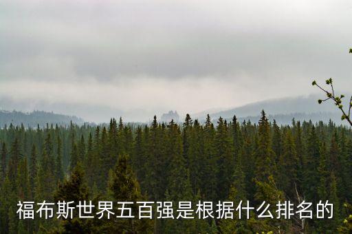 世界五百強靠什么排名，世界五百強企業(yè)按照什么排名