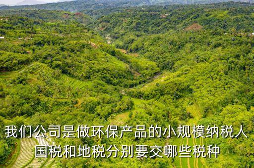我們公司是做環(huán)保產(chǎn)品的小規(guī)模納稅人國(guó)稅和地稅分別要交哪些稅種
