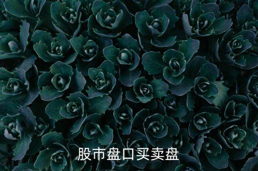 掛單666是什么意思，股票大盤中掛單量說明什么