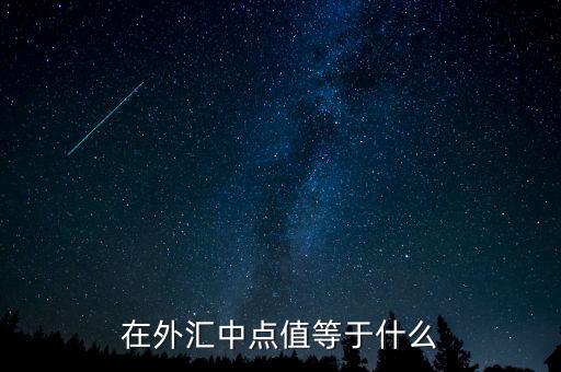 在外匯中點(diǎn)值等于什么