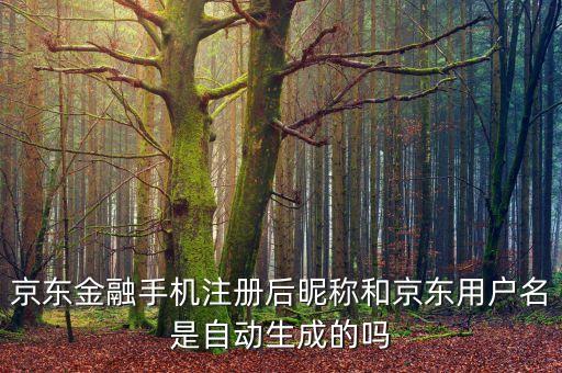 京東金融手機(jī)注冊(cè)后昵稱和京東用戶名是自動(dòng)生成的嗎