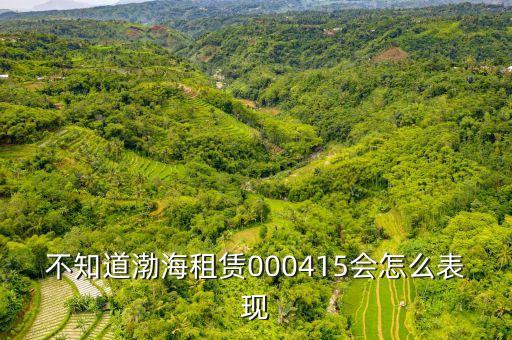 渤海租賃為什么漲的慢，不知道渤海租賃000415會怎么表現(xiàn)