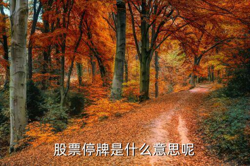 開市起停牌是什么意思，開市起停牌是什么意思