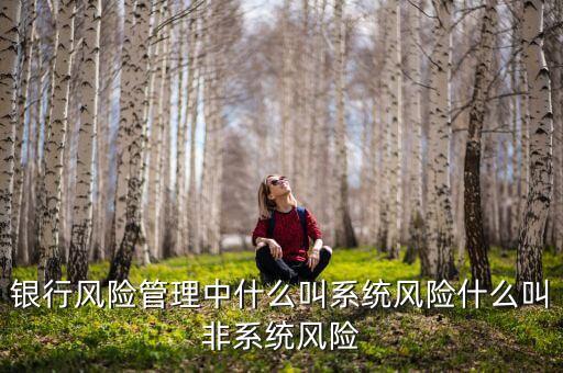 不發(fā)生系統(tǒng)性什么意思，銀行風(fēng)險(xiǎn)管理中什么叫系統(tǒng)風(fēng)險(xiǎn)什么叫非系統(tǒng)風(fēng)險(xiǎn)