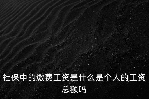 社保中的繳費(fèi)工資是什么是個(gè)人的工資總額嗎