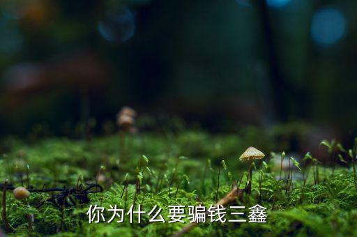 為什么中航三鑫，你為什么要騙錢三鑫