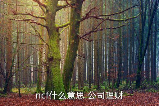 ncf環(huán)保a是什么股票，ncf什么意思 公司理財