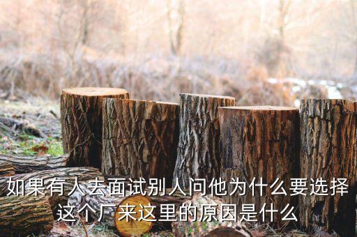 為什么選擇海天味業(yè)，海天味業(yè)工作環(huán)境好嗎