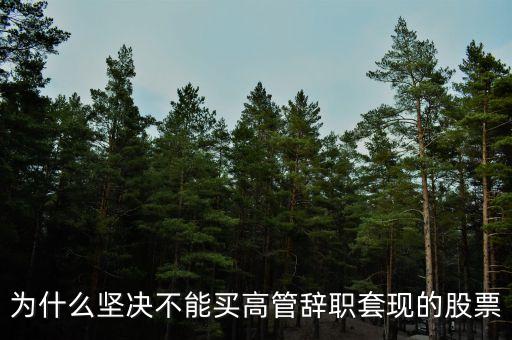 為什么堅決不能買高管辭職套現(xiàn)的股票