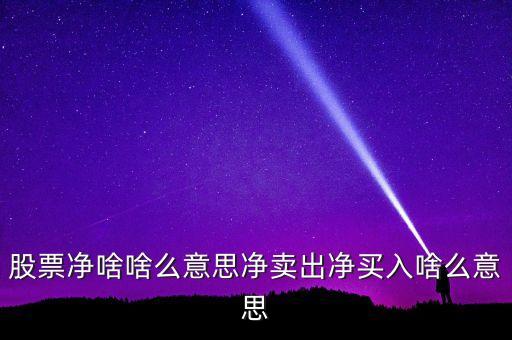 凈賣(mài)出是什么意思，凈賣(mài)出什么意思券商每天可以做t