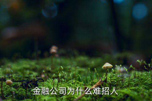 為什么金融公司總?cè)比?，金融公司為什么難招人