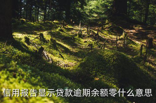 信用報告顯示貸款逾期余額零什么意思