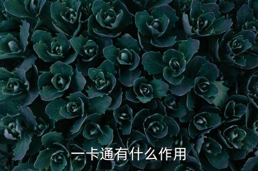 快錢金融一卡通有什么用，一卡通有什么用