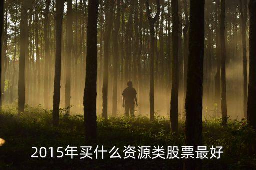 2015什么類型股票好，2015什么股票潛力大