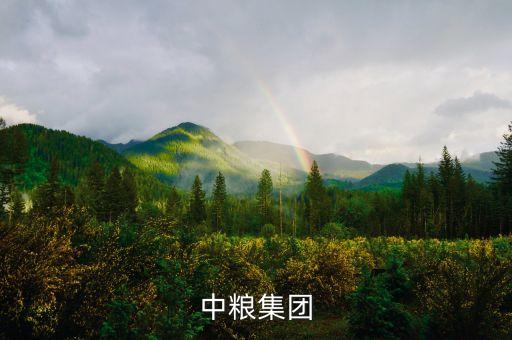 中糧集團(tuán)