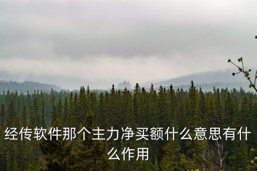 主力大額凈買是什么意思，主力凈買是什么意思
