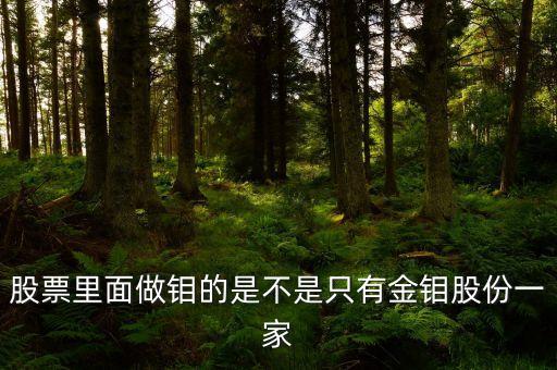 股票里面做鉬的是不是只有金鉬股份一家