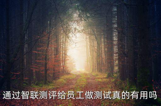 通過智聯(lián)測評(píng)給員工做測試真的有用嗎
