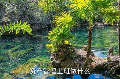 資產(chǎn)管理做什么，資產(chǎn)管理上班做什么