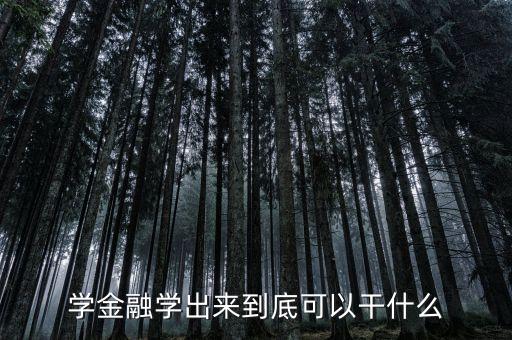 學(xué)金融學(xué)出來(lái)到底可以干什么