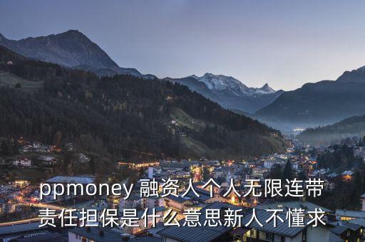 ppmoney 融資人個(gè)人無(wú)限連帶責(zé)任擔(dān)保是什么意思新人不懂求