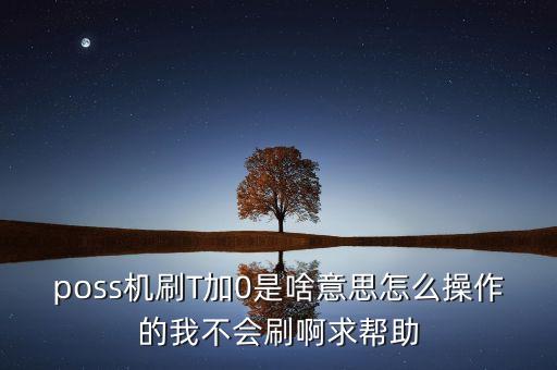 poss機(jī)刷T加0是啥意思怎么操作的我不會(huì)刷啊求幫助