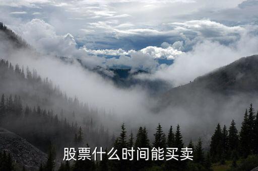 股票什么時(shí)間能買賣