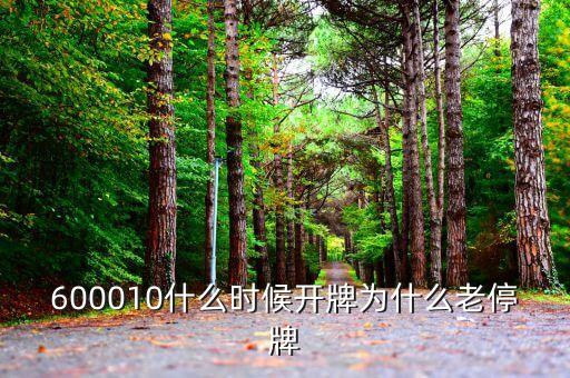 迪森股份什么時候開牌，600010什么時候開牌為什么老停牌