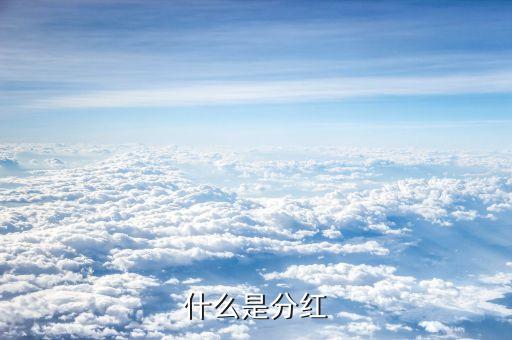 什么是分紅