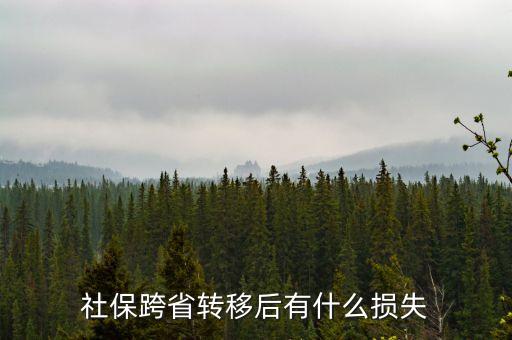 社保轉(zhuǎn)移有什么損失，社?？缡∞D(zhuǎn)移后有什么損失