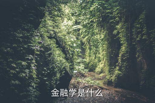 金融學(xué)什么，金融都學(xué)些什么啊