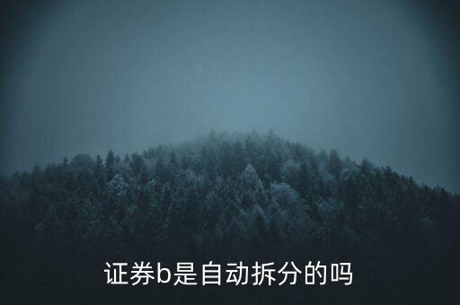 證券b是自動(dòng)拆分的嗎