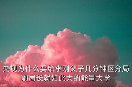 副局長妄議中央說了什么，央視為什么要給李剛父子幾分鐘區(qū)分局副局長就如此大的能量大學(xué)