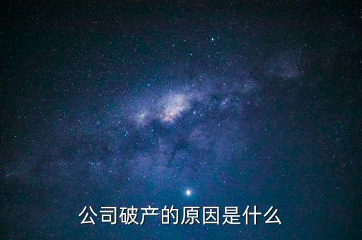 公司破產(chǎn)的原因是什么
