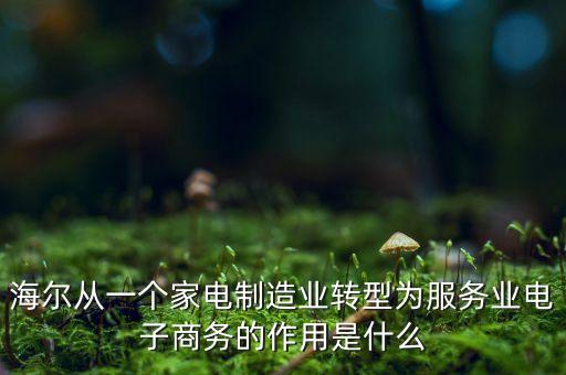 海爾從一個(gè)家電制造業(yè)轉(zhuǎn)型為服務(wù)業(yè)電子商務(wù)的作用是什么