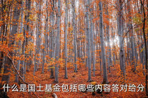 什么是國土基金包括哪些內容答對給分